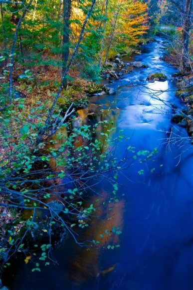 Beautiful creek